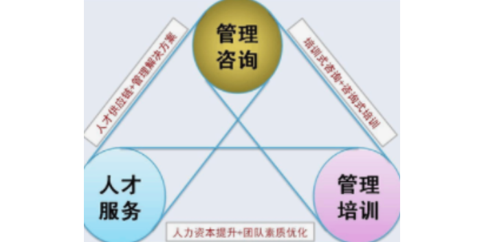 企業(yè)管理與企業(yè)管理咨詢(xún) 賦能組織的協(xié)同關(guān)系探究
